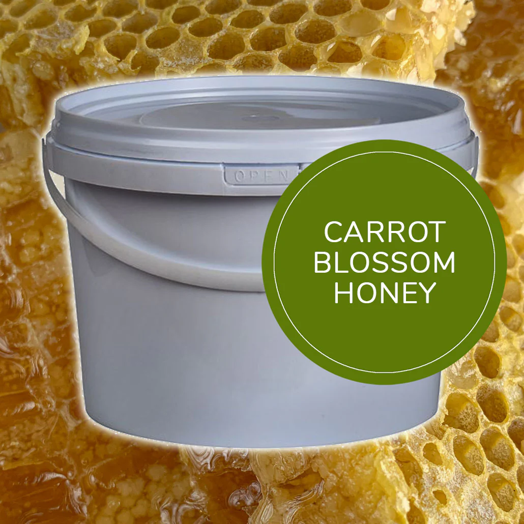 3kg Carrot Blossom Honey