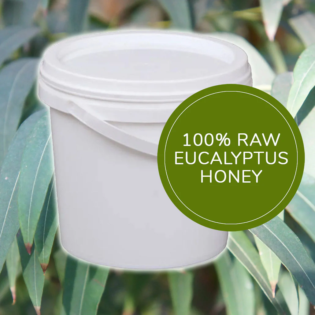 3kg Eucalyptus Honey - Raw